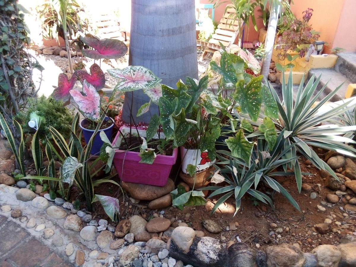 فيلا Casa Gio بويرتو إسكونديدو المظهر الخارجي الصورة